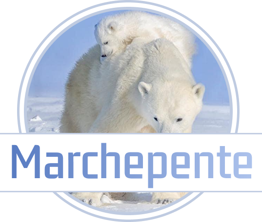 logo-new